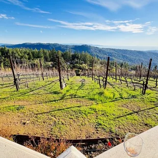 Relaxing  with a glass of vino