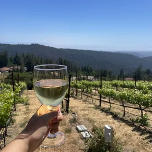 Chardonnay with a view