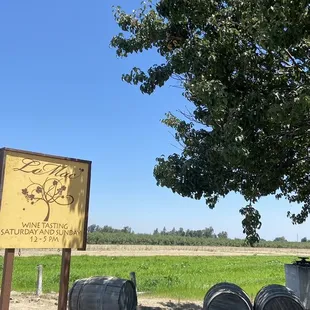 a large oak tree and barrels
