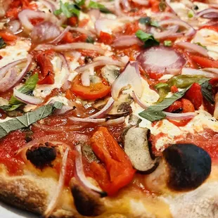 Red Sauce pizza with sweet roasted red peppers, red onion and mushrooms