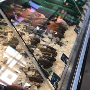 food, oysters and mussels