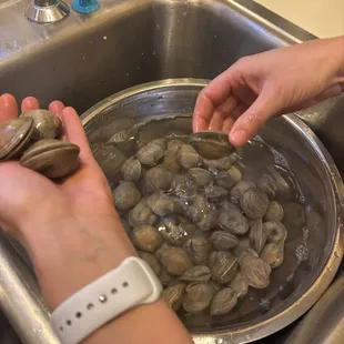 Dead Clams