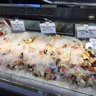 Stone Crab