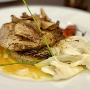 Mahi Mahi fish of the day