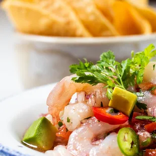 Lona Ceviche
prawns / tomato / red onion / cilantro / fresh lime / serrano chili