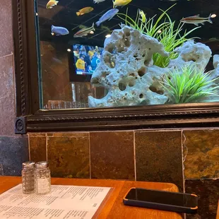 a fish tank in a restaurant