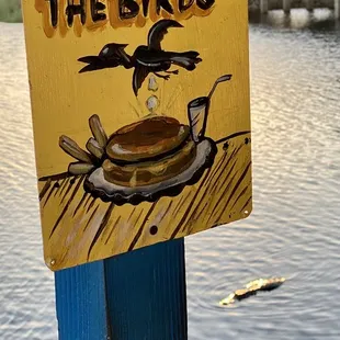 Do not feed the gator