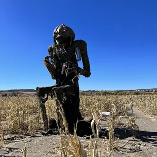 Guard of the corn maze!