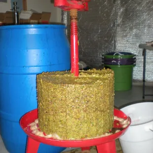 a green cake with a red sprinkler on top