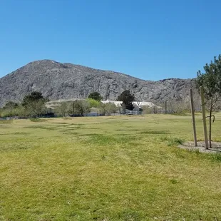 Open grass reaching towards Lone Mountain.