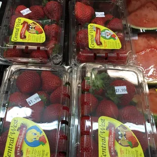 Almost Halloween. Very reasonably priced.