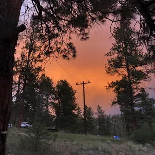 View from site 16 facing away from river