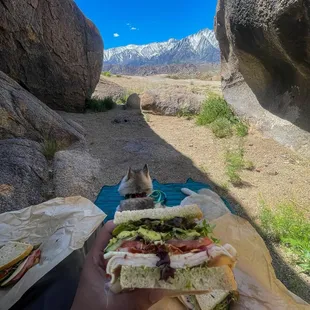 Lone Pine Charmer on sourdough