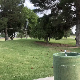 Water fountain in hole 5