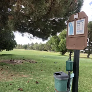 Hole 5