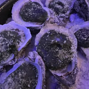 a plate of oysters