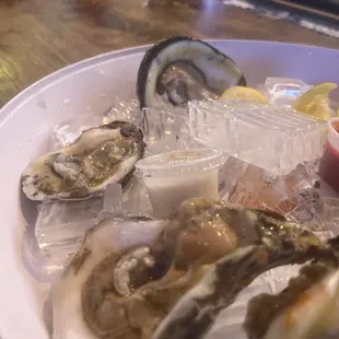 Delicious Fresh Oysters on a Half Shell