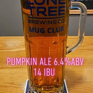 a pint of pumpkin ale