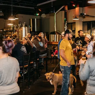 We love parties and dogs!