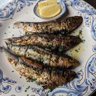 Grilled sardines