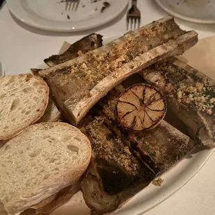 Bone marrow