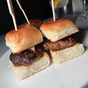Elk sliders