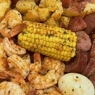 1. Lil Shrimp
