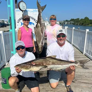 Cobia fishing Virginia Beach
