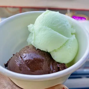 Chocolate Sorbet and Coconut Sweet Lime Sorbet