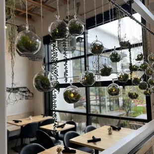 interior, sushi and sashimi