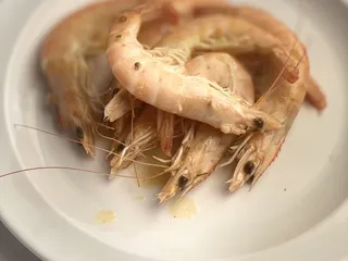 Shrimp By You