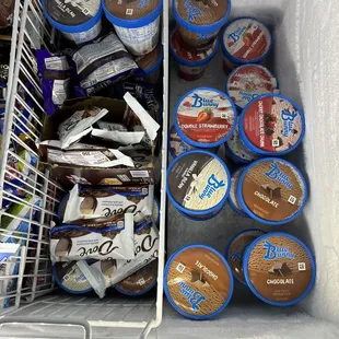 a cooler full of ice cream