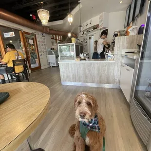 Our favorite new coffee shop in OC