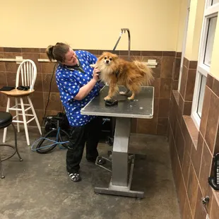 We offer stress free grooming