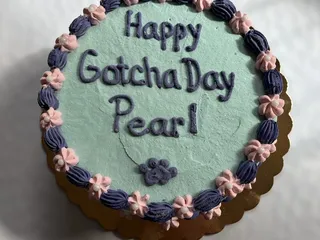 Long Dog Fat Cat - Midtown