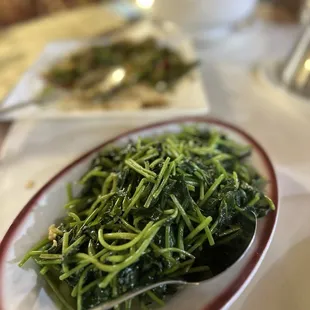 salads, food, salad