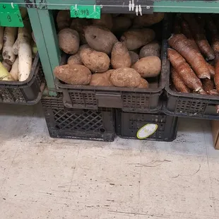 a variety of vegetables