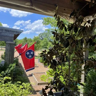  flag in a pot