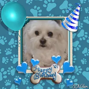 This is a picture if my little one Vinnie.