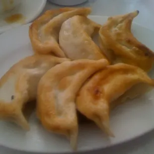 Pot Stickers