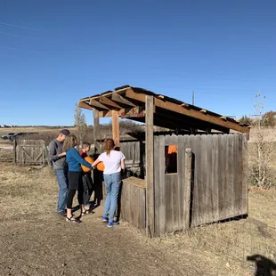 Each admission gets a bucket of tennis balls to do slingshot