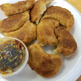 Fried Dumplings