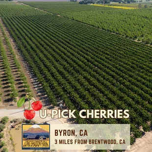 Grand Opening June 7, 2023 for U-Pick