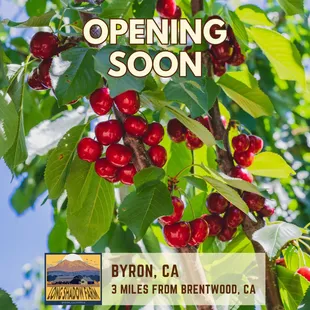 Grand Opening June 7, 2023 for U-Pick
