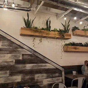 Back room greenery