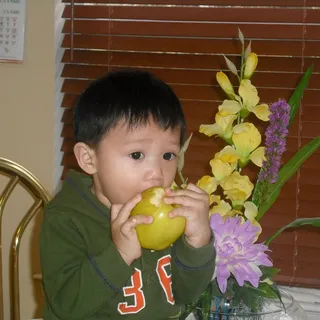 Cuong N.