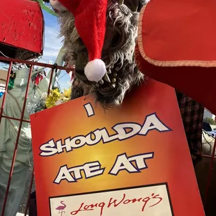 a dog wearing a santa hat holding a sign