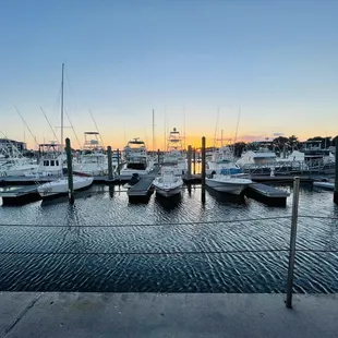 a marina at sunset