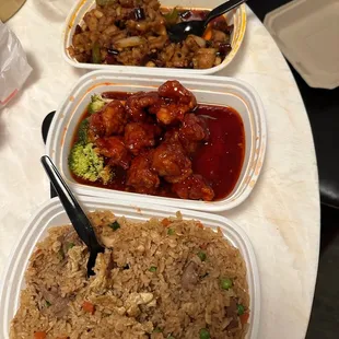 Kung pao chicken, General Tso&apos;s and house fried rice.  What you see is what we did not eat. Not impressed.