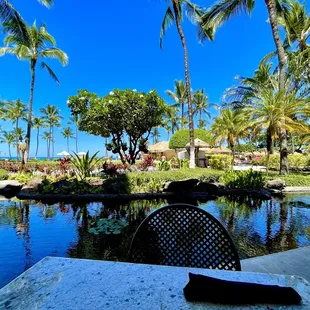 Great ambiance!  Outdoor table on edge of Koi pond and courtyard.